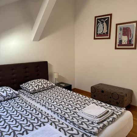 Sara Apartment 贝尔格莱德 外观 照片